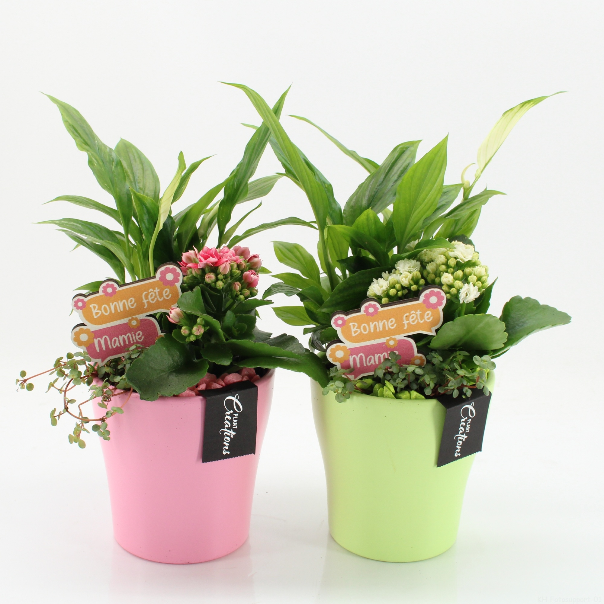 FGCR-2619M Fête des grands-mères, D 14