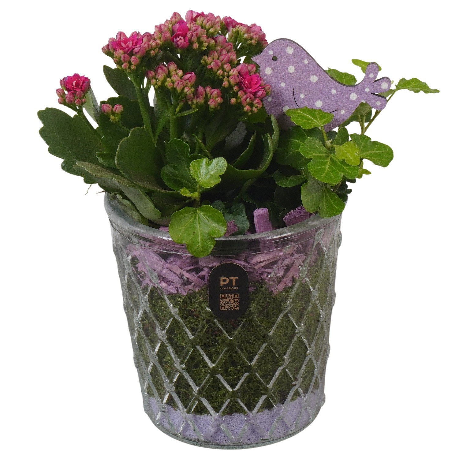 PTIG2684 Arrangement Indoor in glazen vaas, D 12