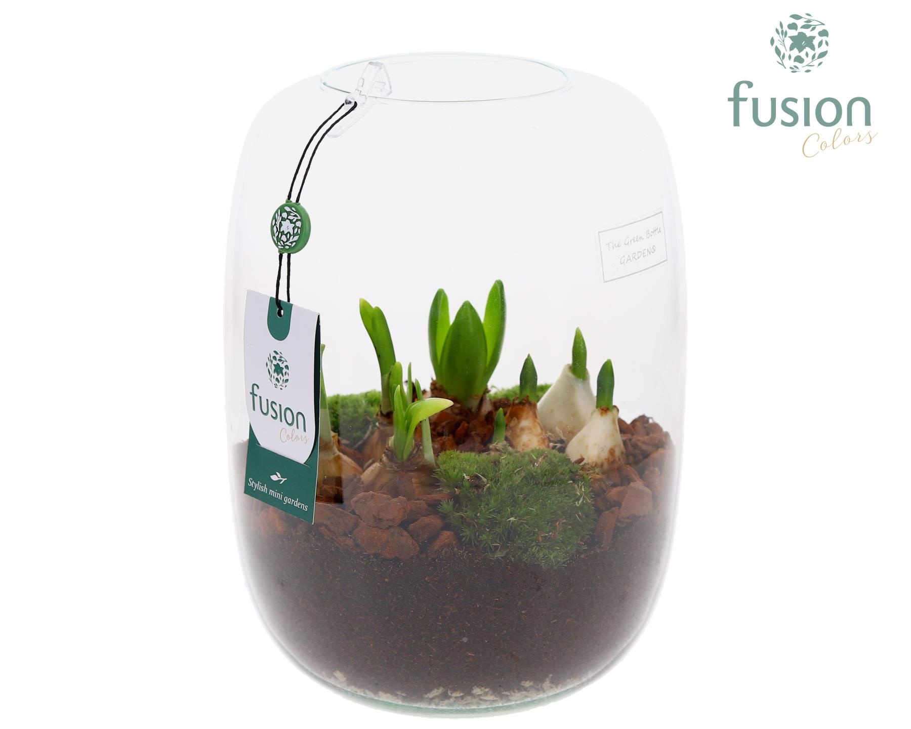 Green Bottle Isabella Large met Bollen mix, D 19