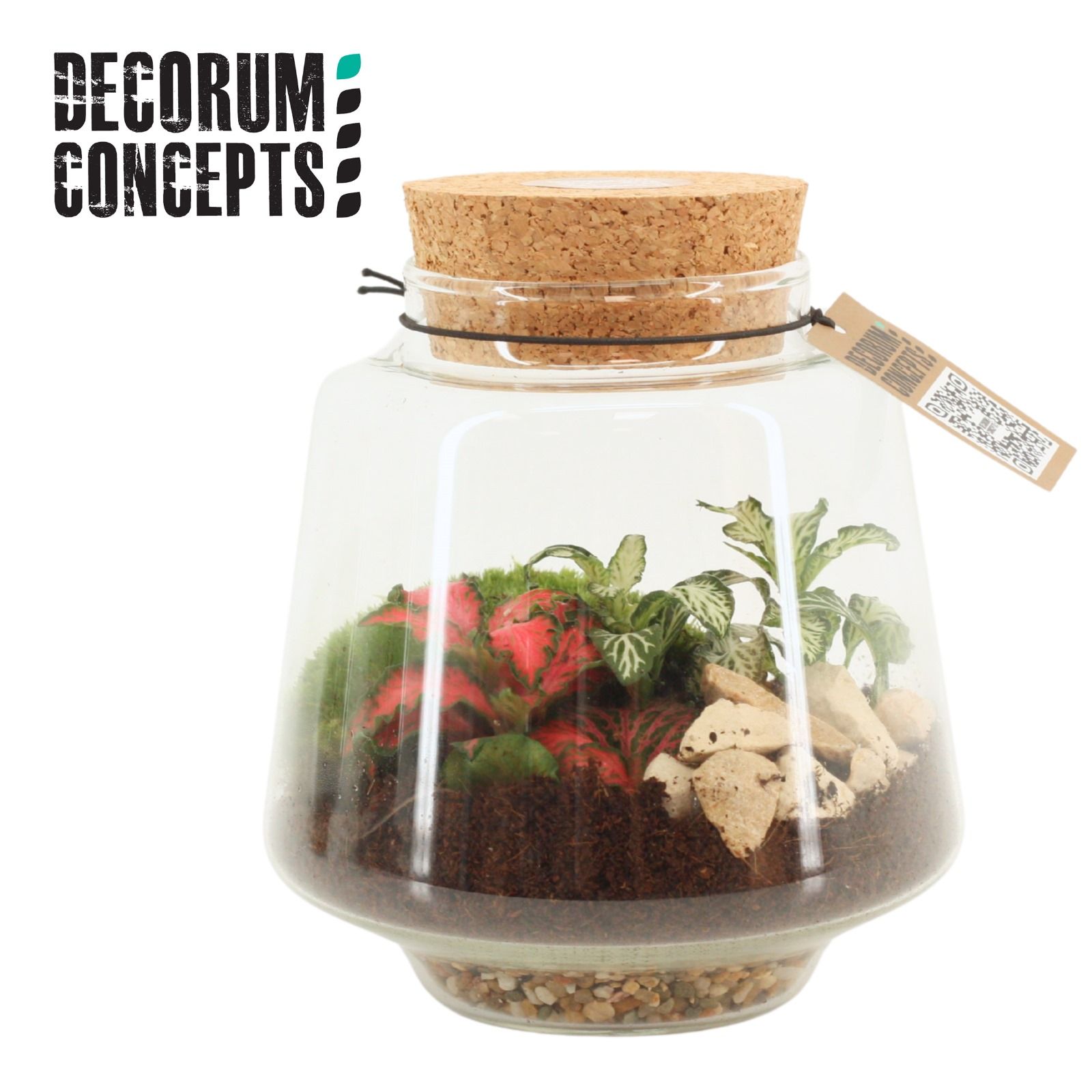 Terrarium Mercurius Small (Decorum concepts), D 12