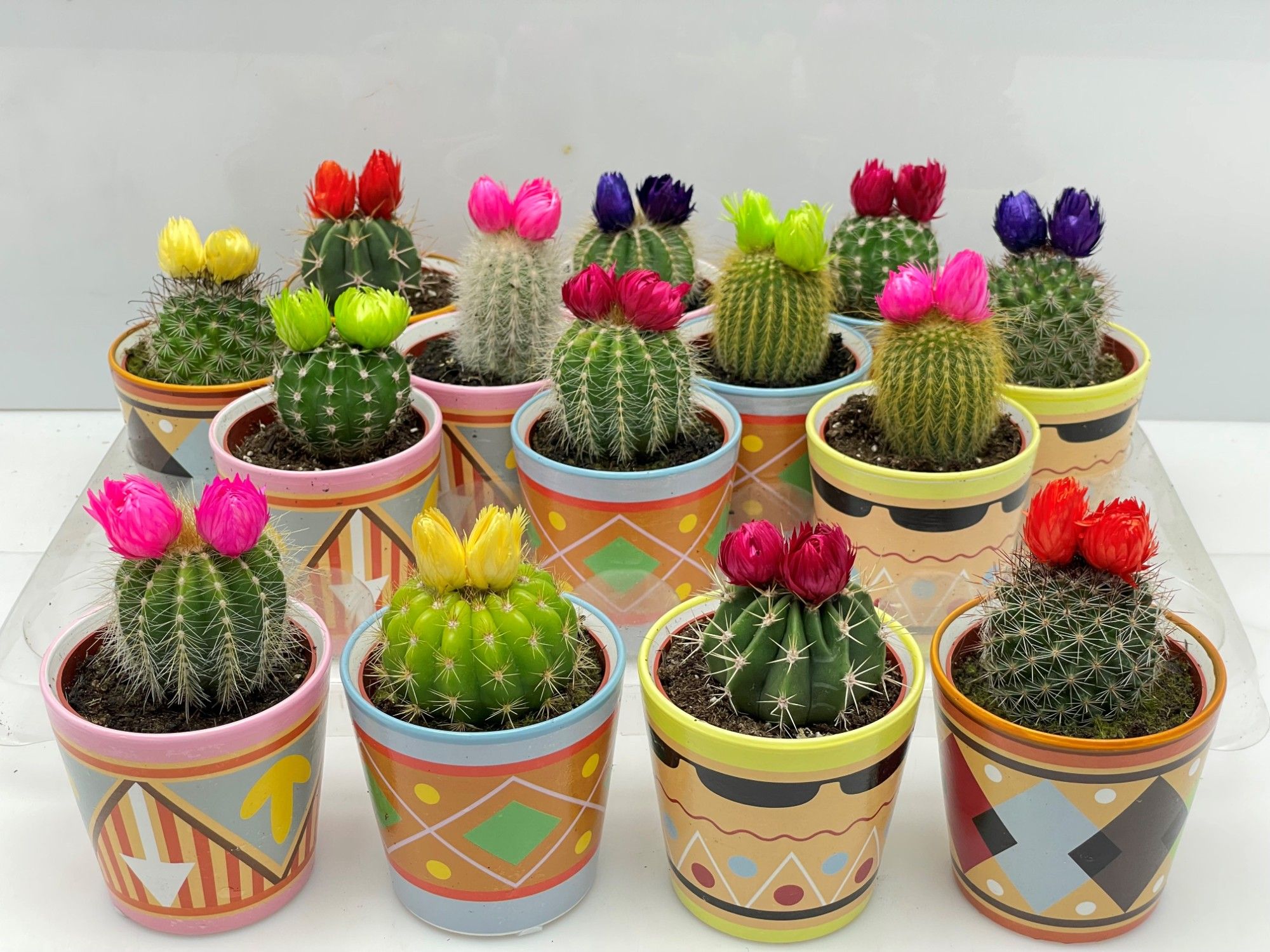 173 Picasopot Sier 6.5 cm, D 8