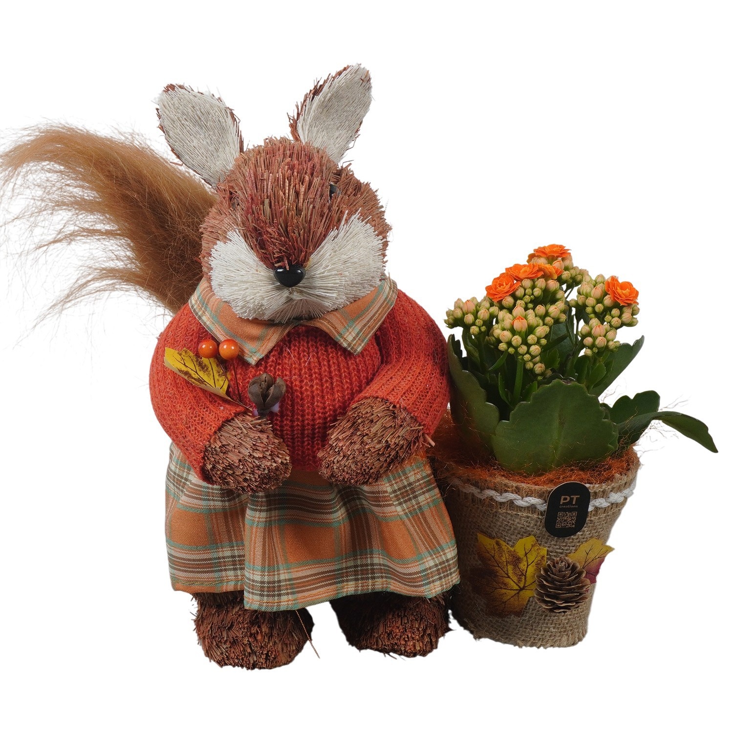 PTHI3328 Arrangement Autumn Indoor in stro pot in eekhoorn vorm, D 24