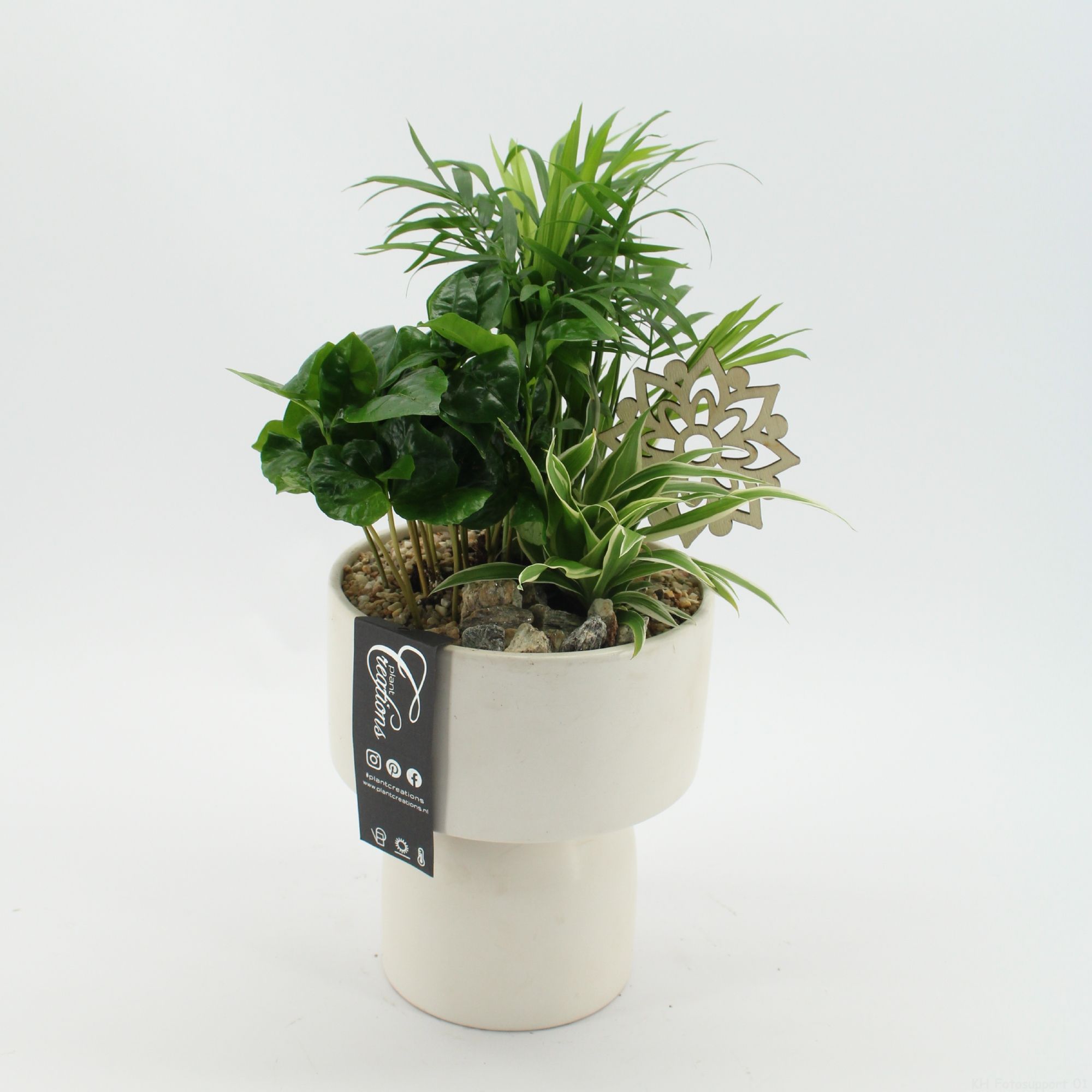 GRCR-2517 Green Essentials, D 16 cm