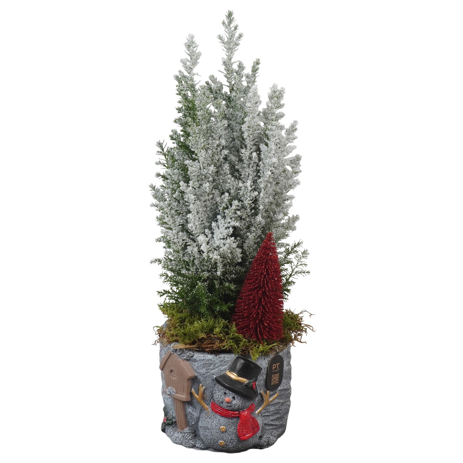 PTCWW7783 Arrangement Winter in beton pot, D 13