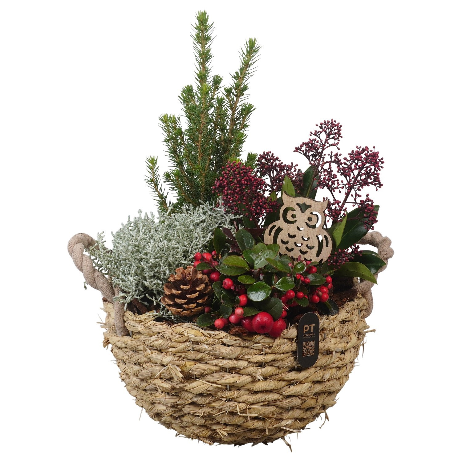PTWO2838 Arrangement Winter Outdoor in rieten mand, D 25