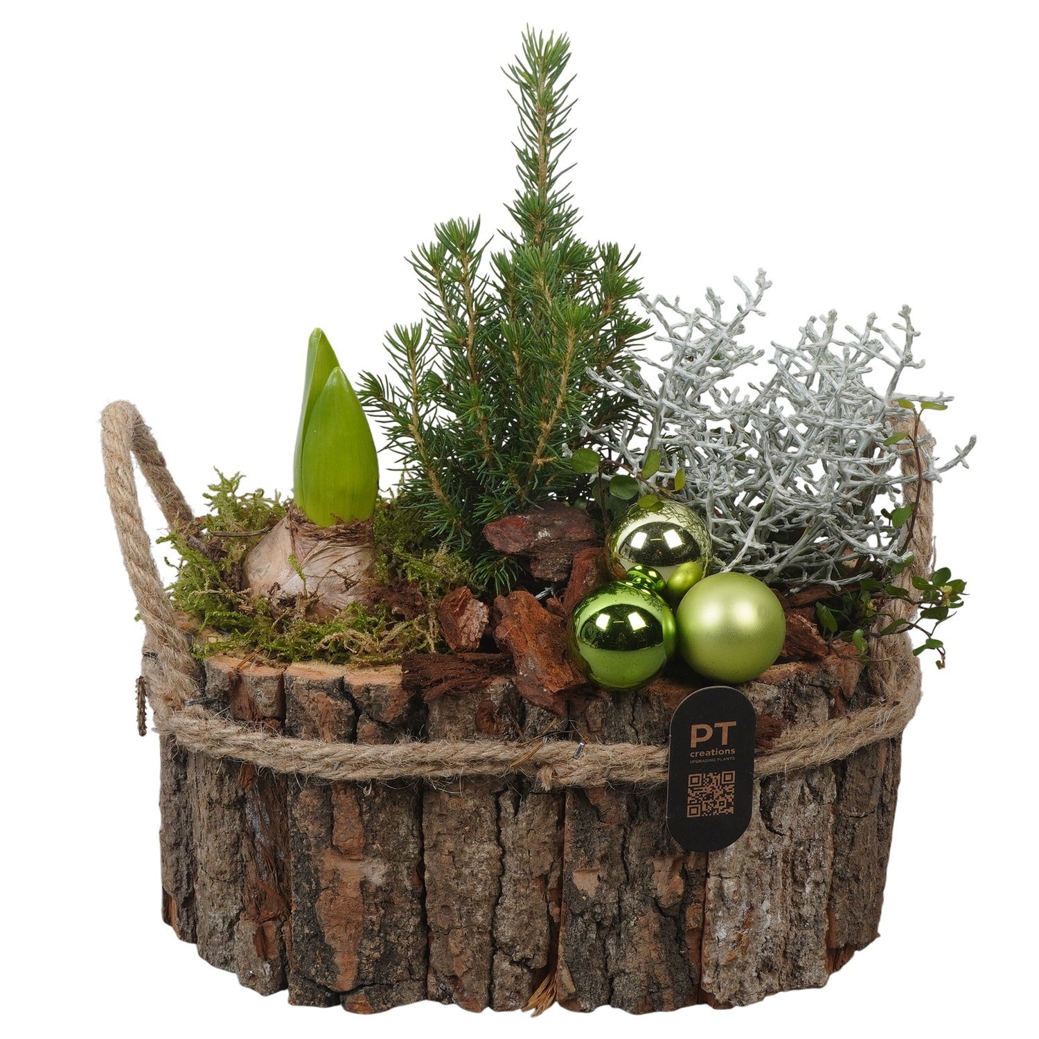 PTCHO5416 Arrangement Christmas Outdoor in houten bak, D 21