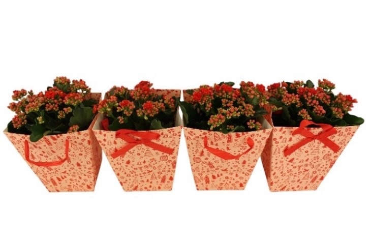 Calandiva 12 cm - Kersttasje rood met strikje + Bijsteker, D 12