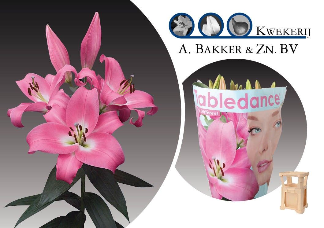 Лилия Тэйблдэнс 85, шт.