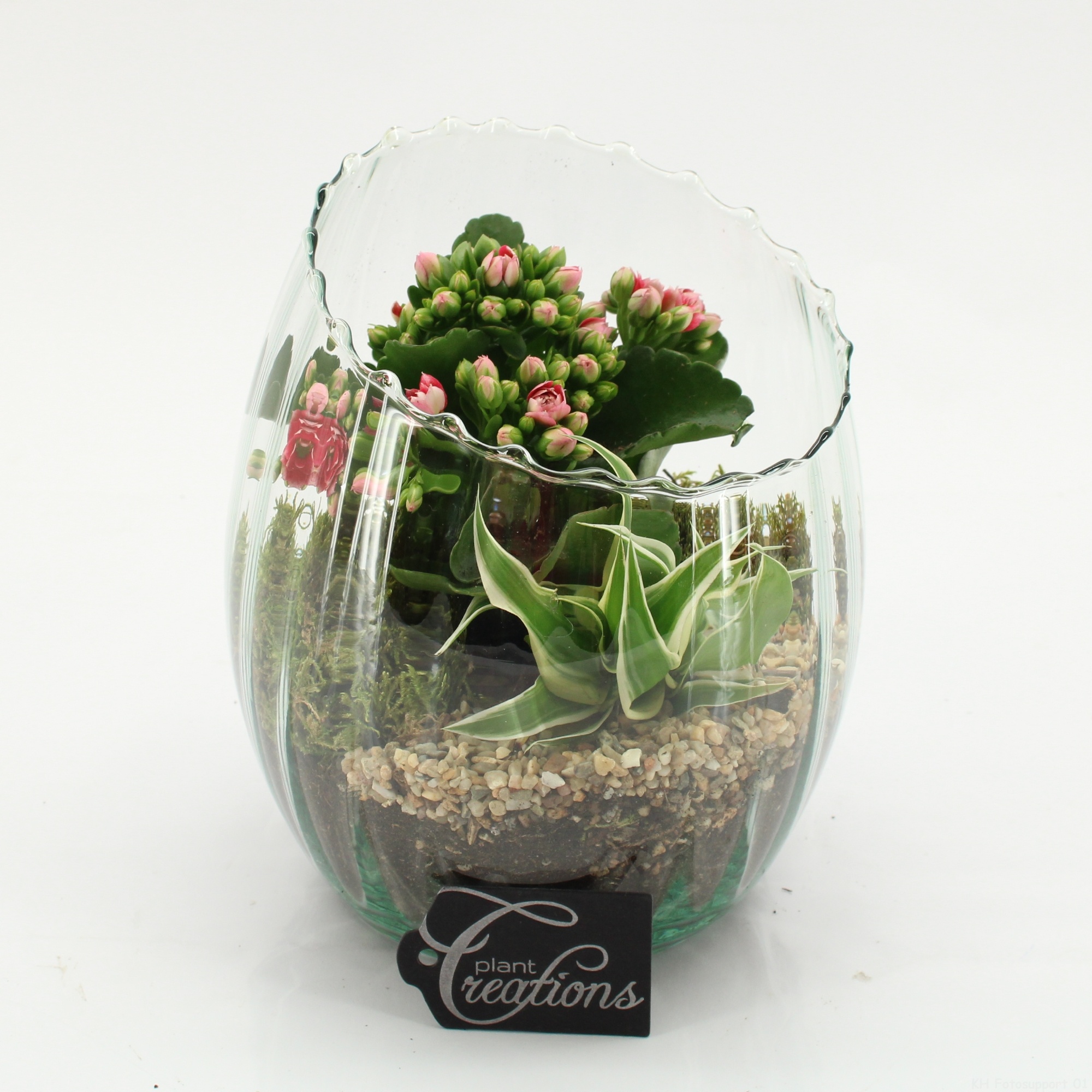 ESCR-2626RZ Essentials, D 16