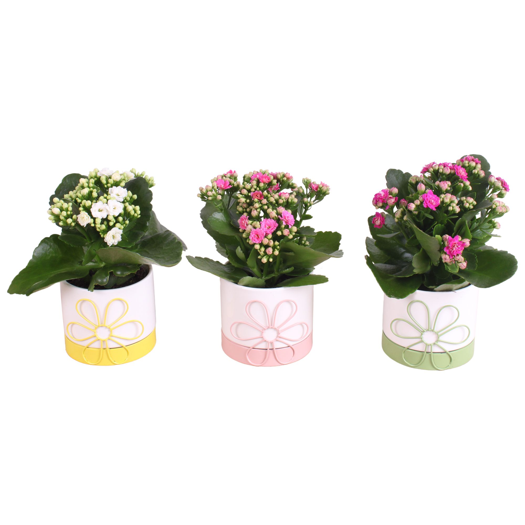 Mothersday Arr. Indoor Ceramic Flowerframe Pot Ø10cm 1PP, D 10
