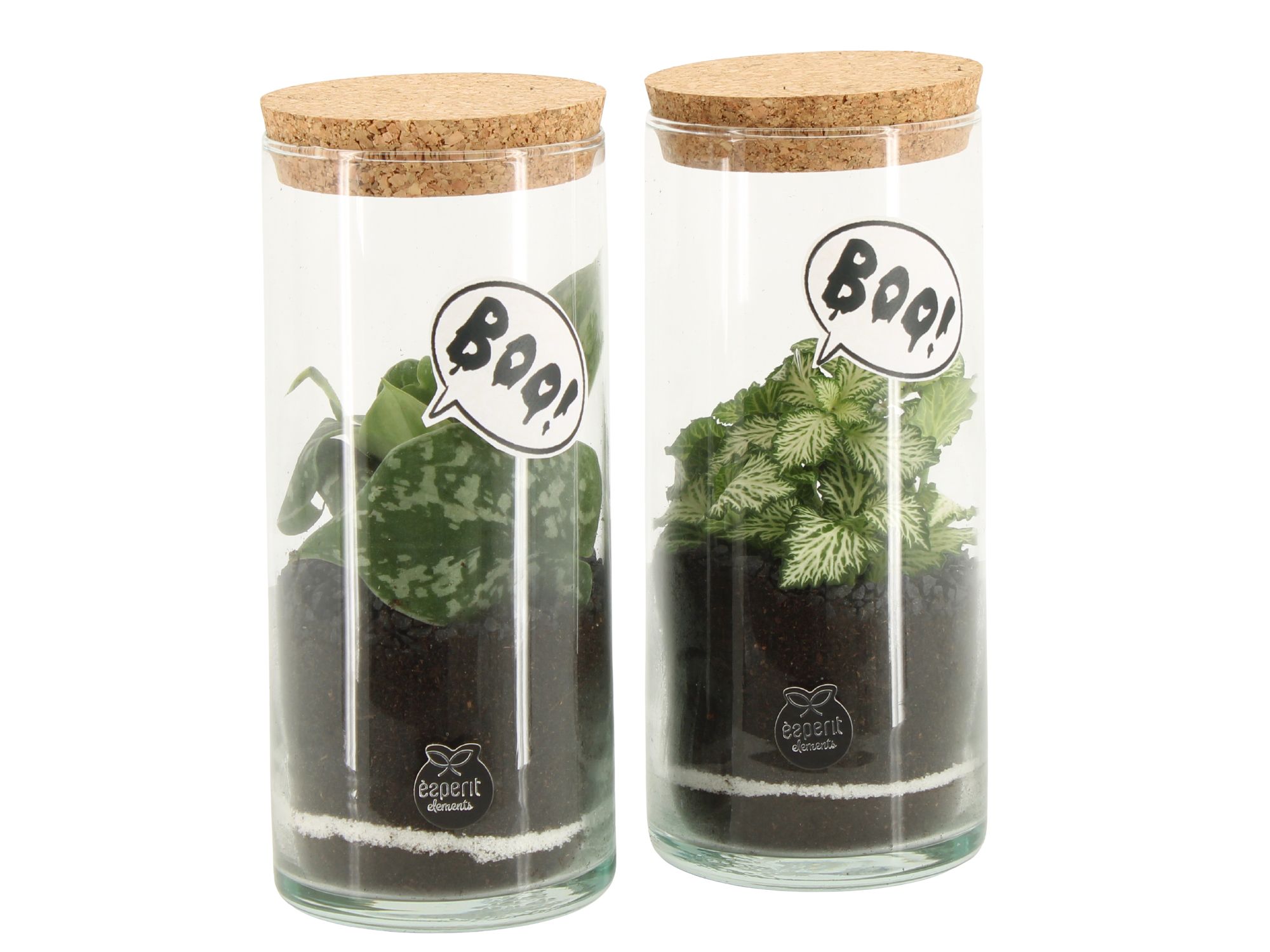 83295: Halloween terrarium, D 9 cm 83295: Halloween terrarium, D 9 cm