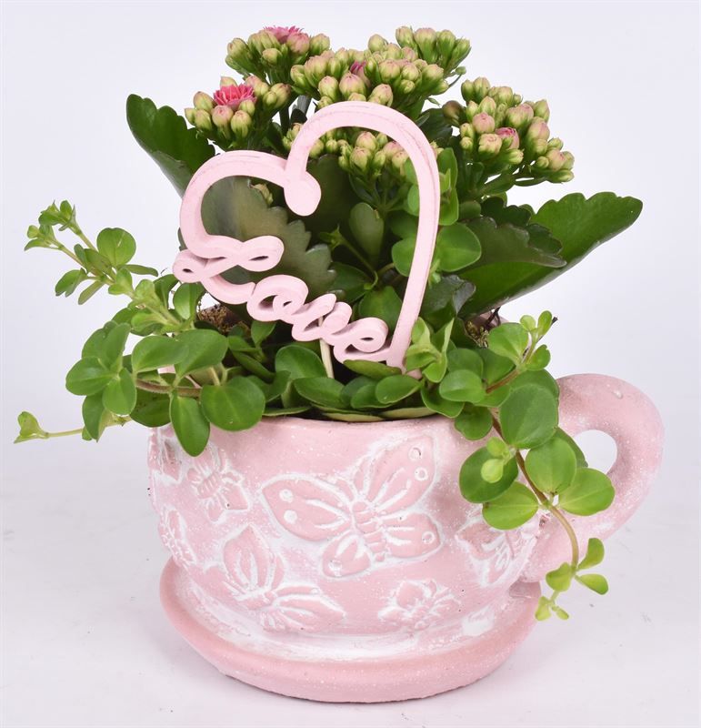 Cement vlinder k&s roze 10/14cm, D 11