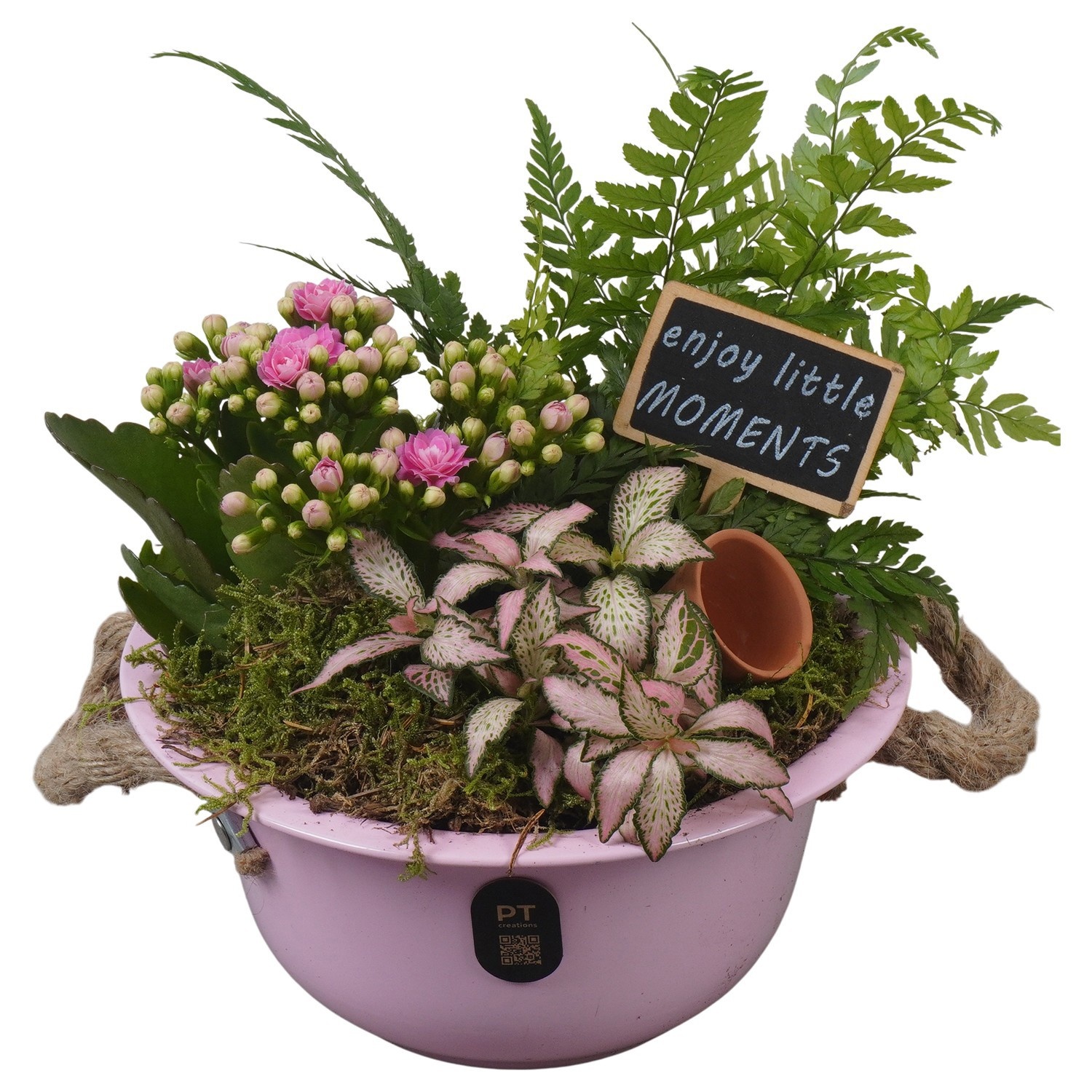 PTIB5320 Arrangement Indoor in metalen schaal, D 18