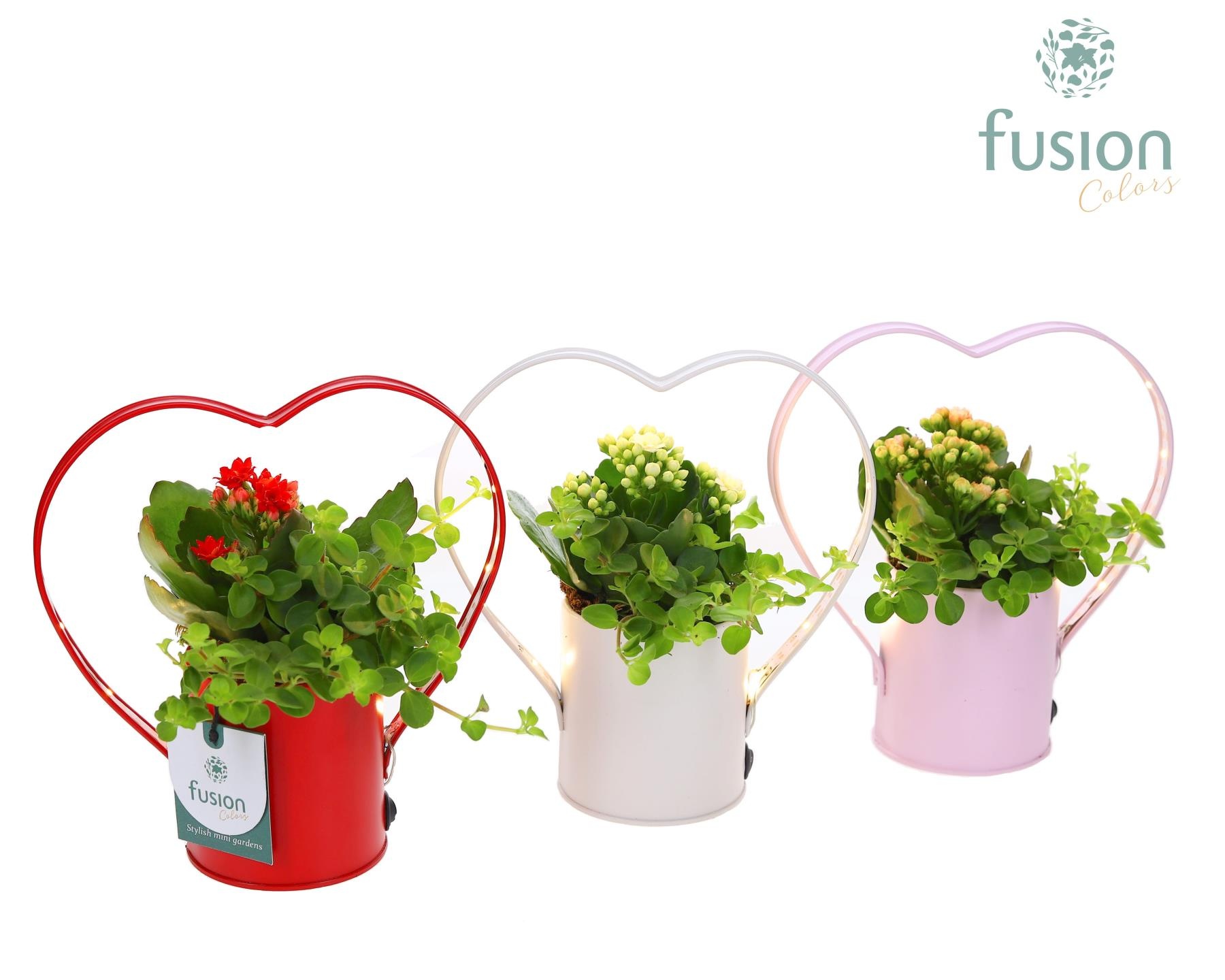 LED planter zink Hartvorm met arrangement, D 18