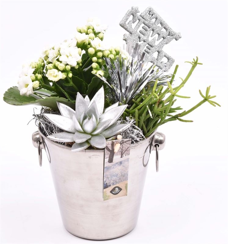 Champagnekoeler zilver 14 cm, D 14