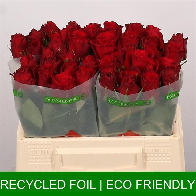 Роза од. Аппер Класс 35, шт.