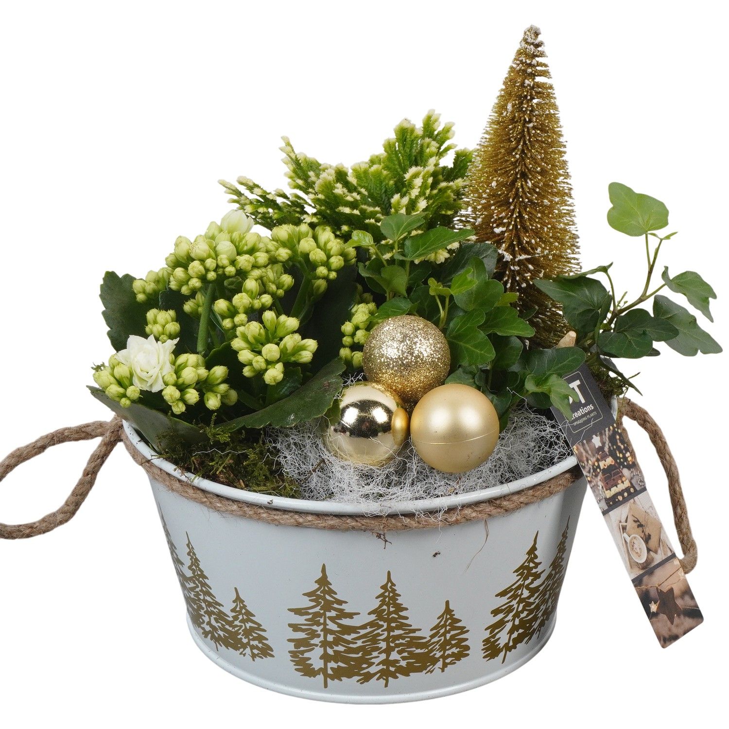 PTCHG5660 Arrangement Christmas Gold in metaal pot, D 18 cm