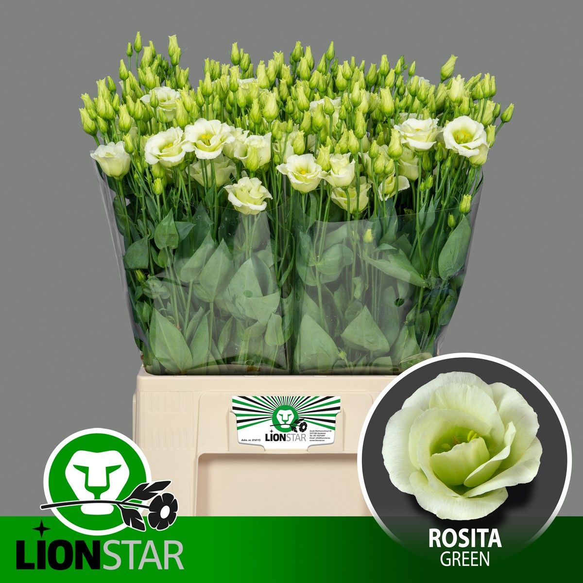 Эустома Розита Грин 60 (зел.), шт.