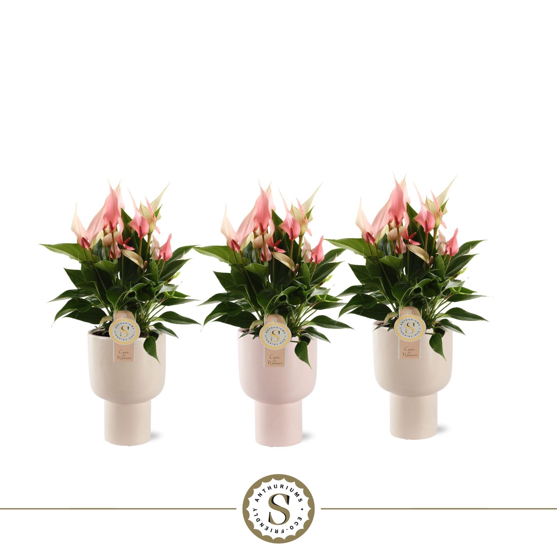 Roma Keramiek Lilli, D 12