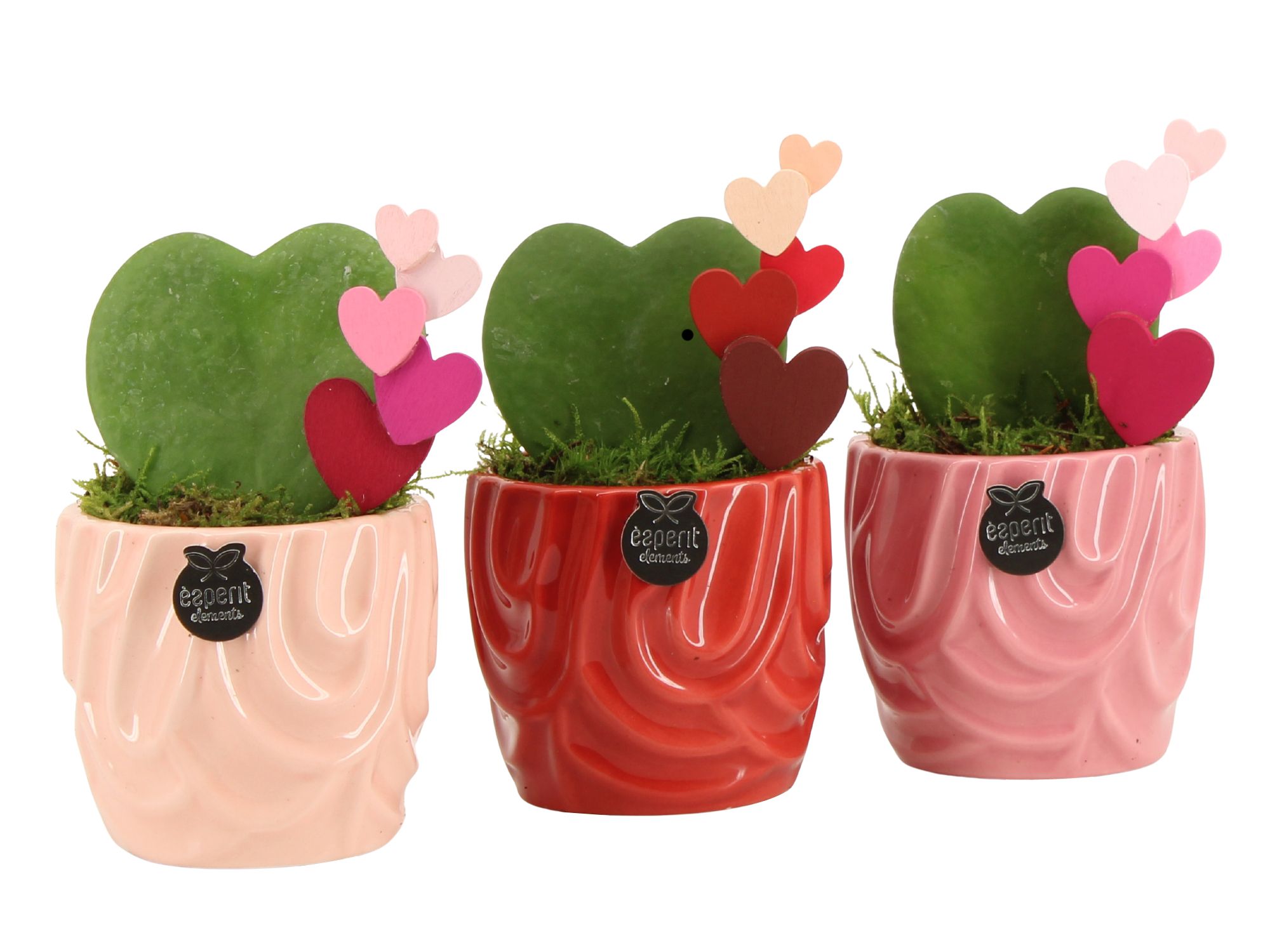 21804: Lovess arrangement, D 8