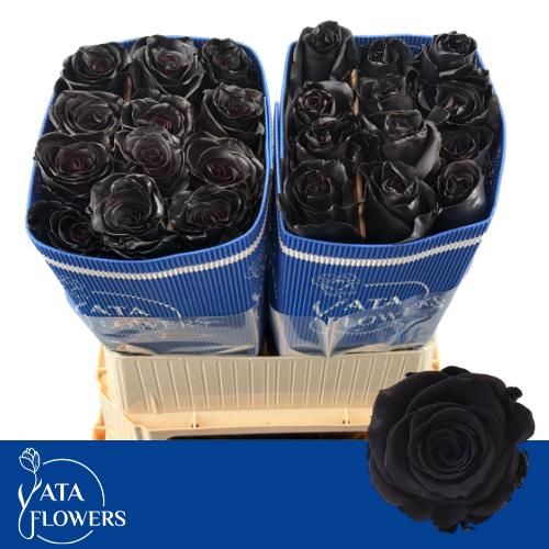 Роза од. Овериг Крашеная (краш. ) 70, шт.