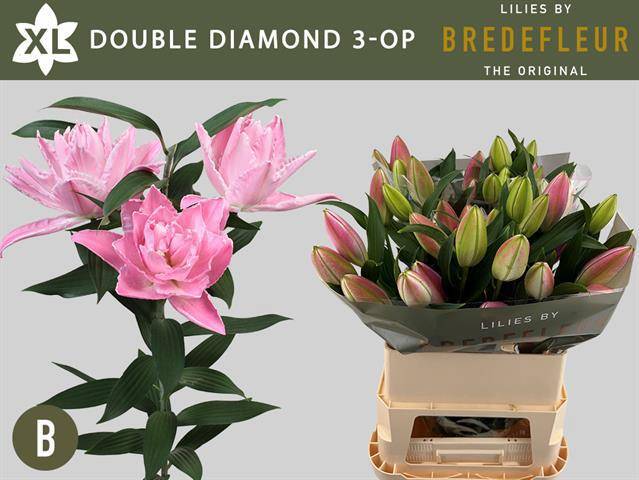 Лилия дв. Дабл Даймонд 90, шт.