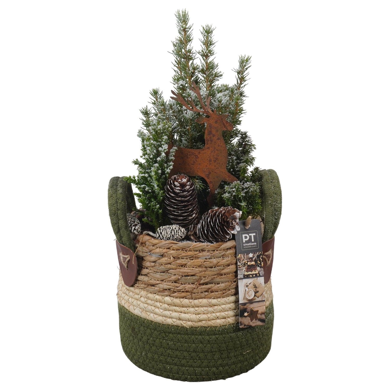 PTCWW6882 Arrangement Winter in rieten mand, D 13 cm