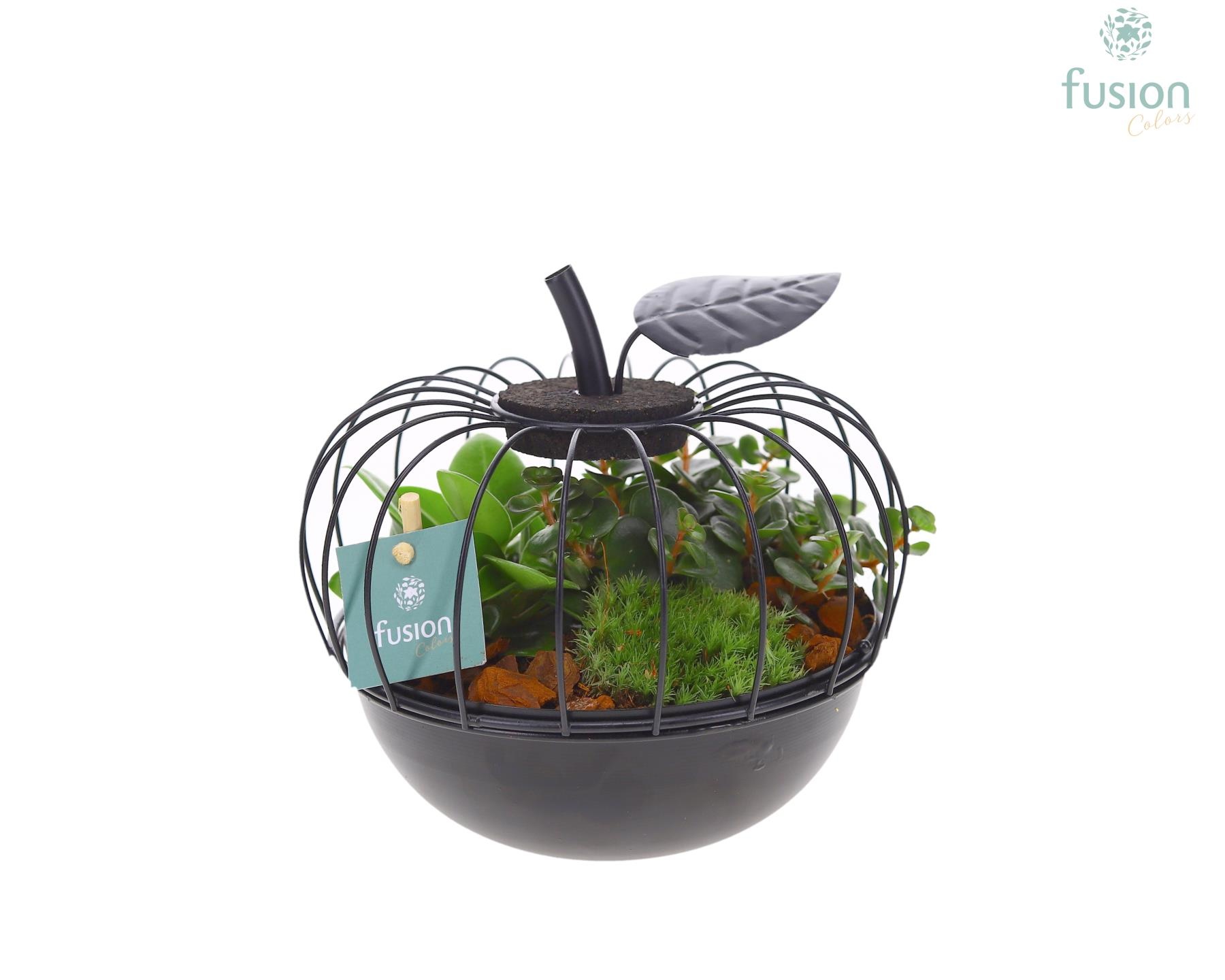 Metaal appel zwart Small met groene planten, D 17