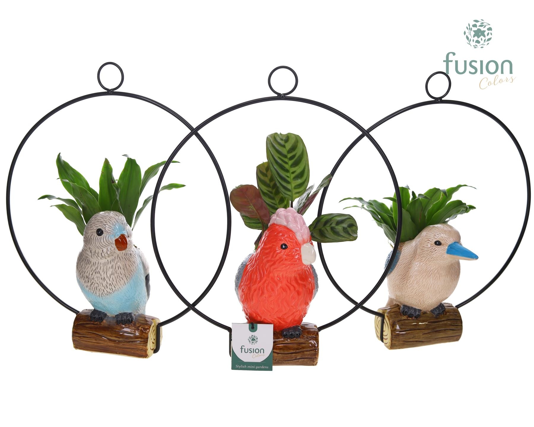 Keramiek vogels in de ring met Groenen planten, D 28