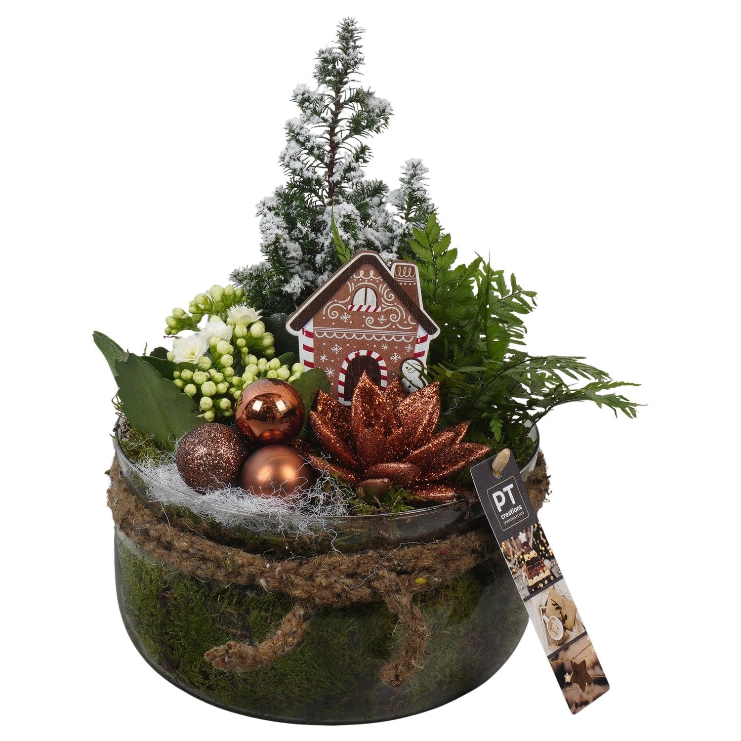 PTCHB9857 Arrangement Christmas Bronze in glas schaal, D 19 cm