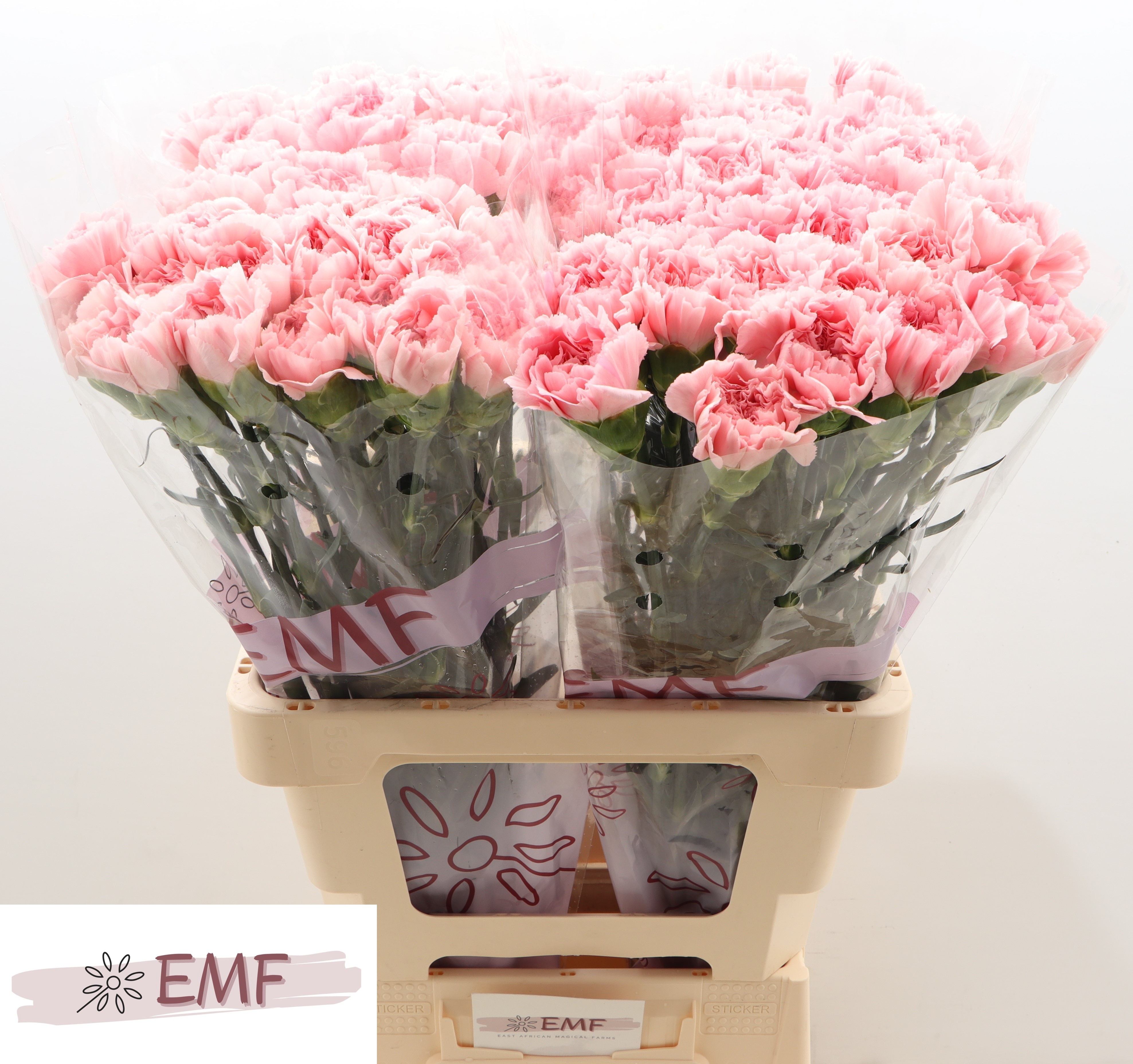 Диантус од. Пинк Монтезума, шт.