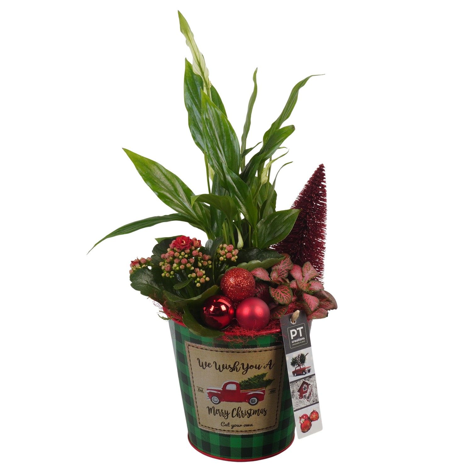 PTCHR7330 Arrangement Christmas Red in metaal pot, D 13 cm