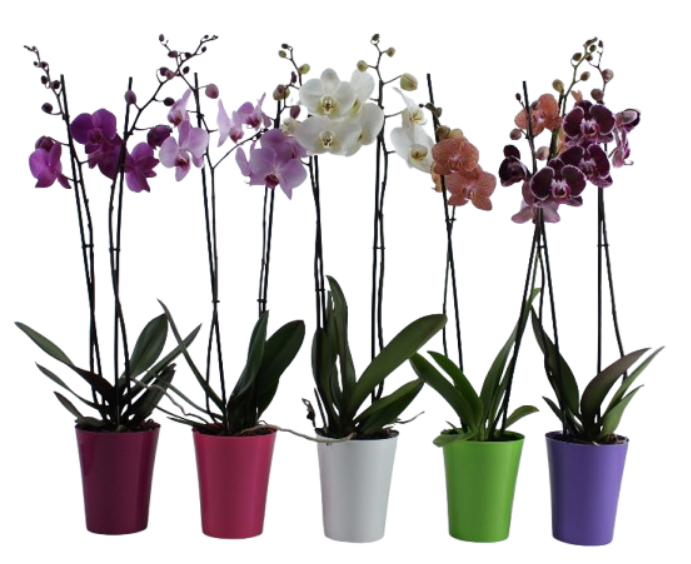 2T MIX KUNSTSTOF OMPOT, D 12