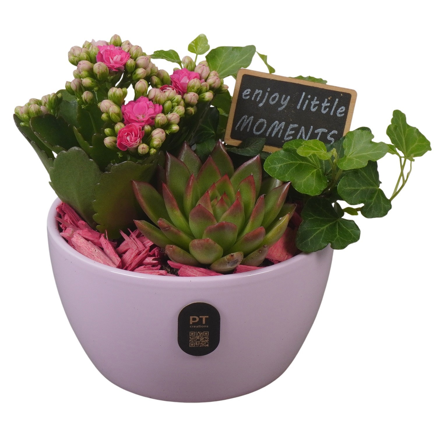 PTIB5132 Arrangement Indoor in keramiek schaal, D 14