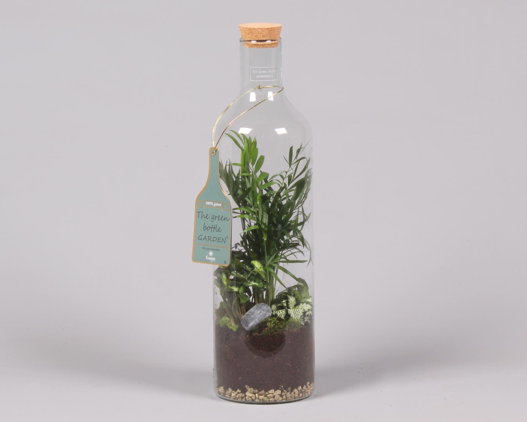 Green Bottle Fles Large met Groen Planten Arrangement, D 15