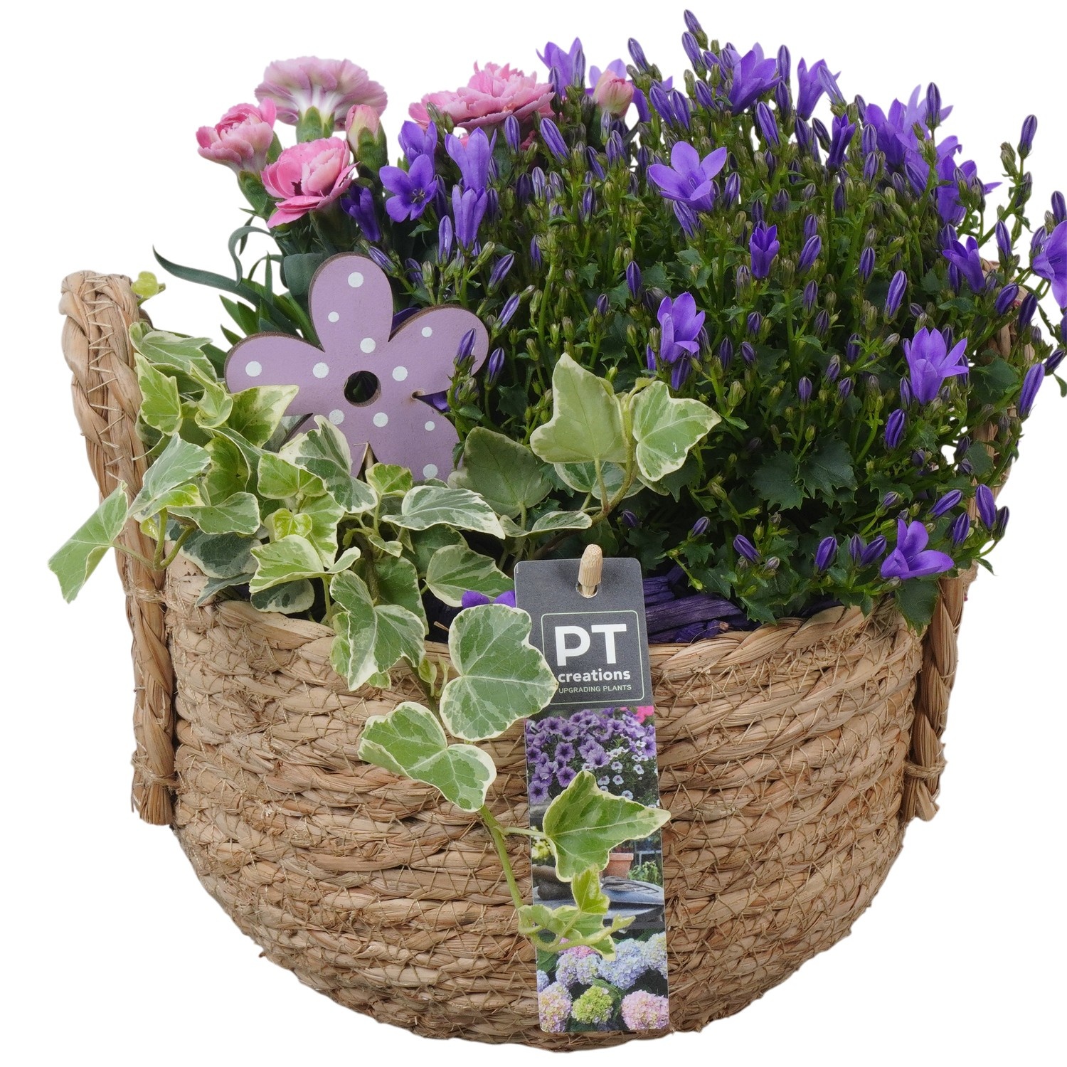 PTPP6975 Arrangement Patio in rieten mand, D 20