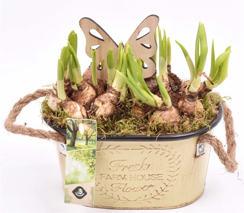 Zink ovaal met touw17x11cm, D 18