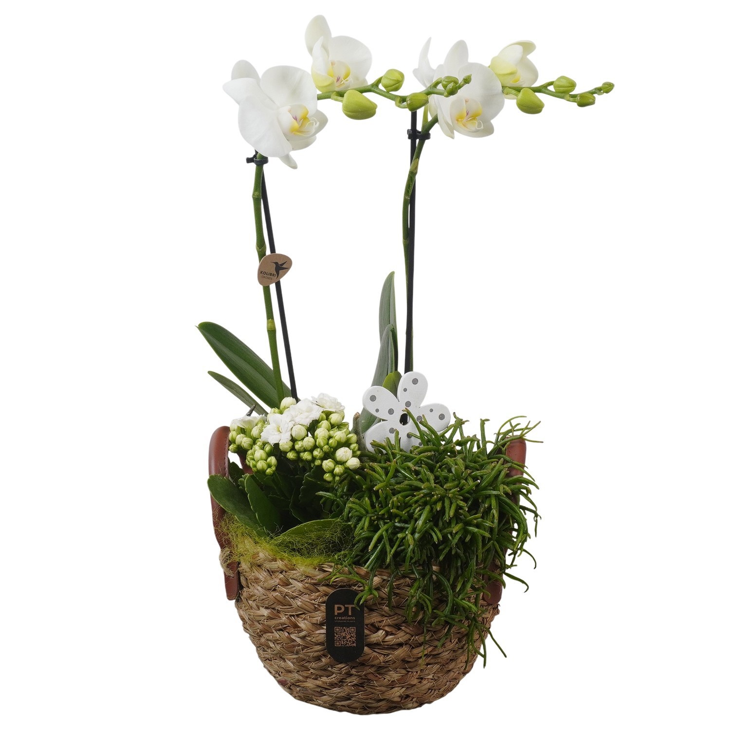 PTIB5243 Arrangement Indoor in rieten mand, D 17