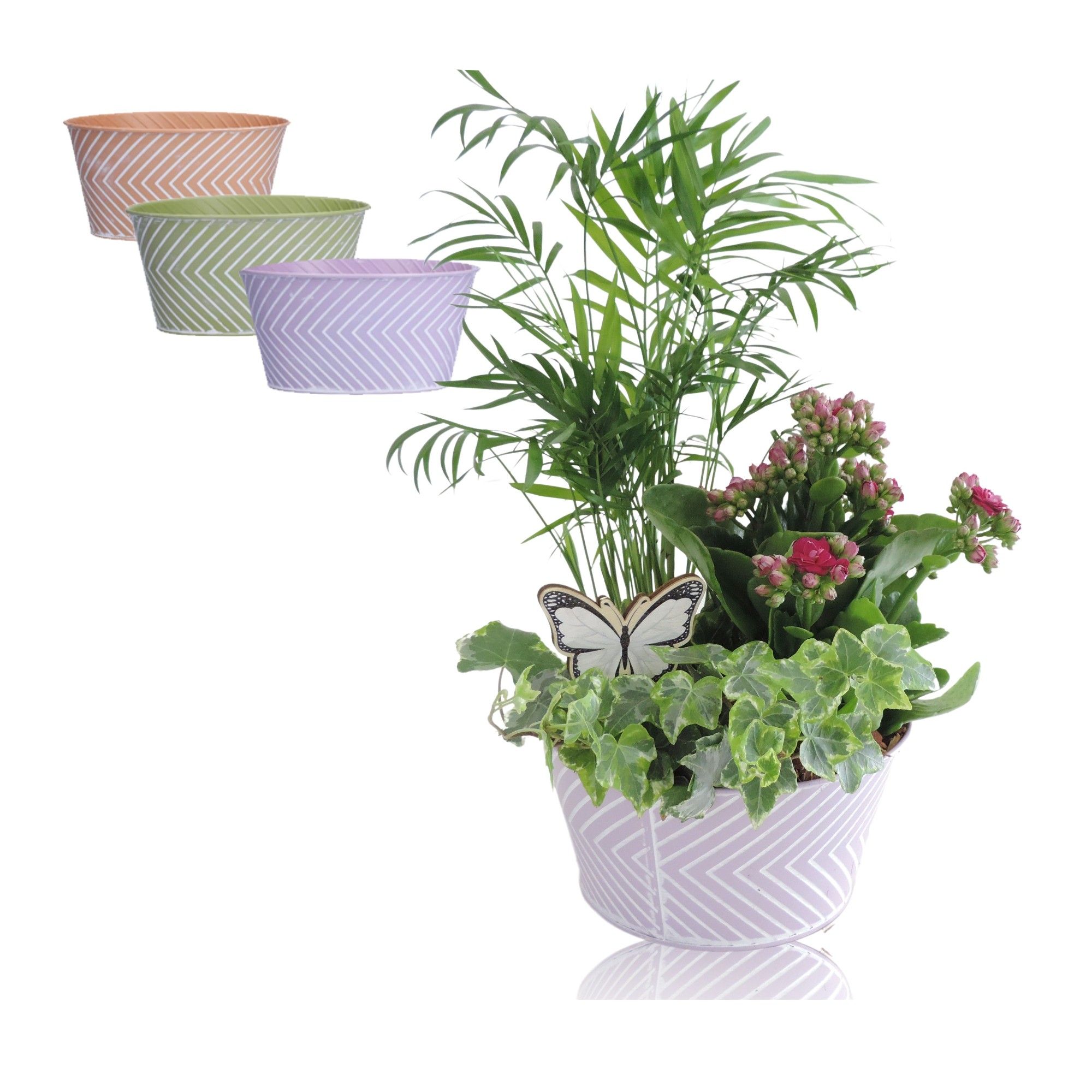 Collectie Wave arrangement in zinken pot 18 cm, D 18