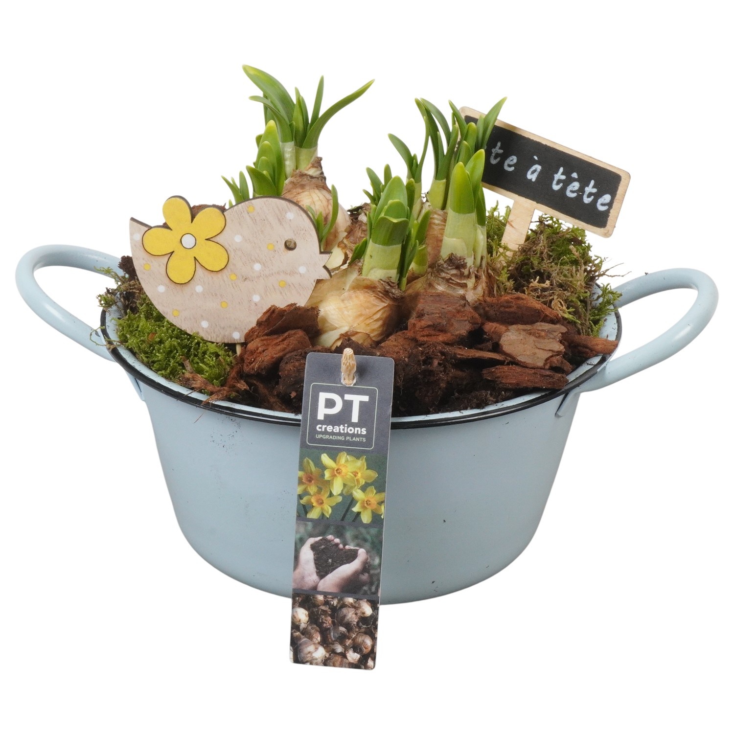 PTN8532 Arrangement Narcissus in zink schaal, D 19