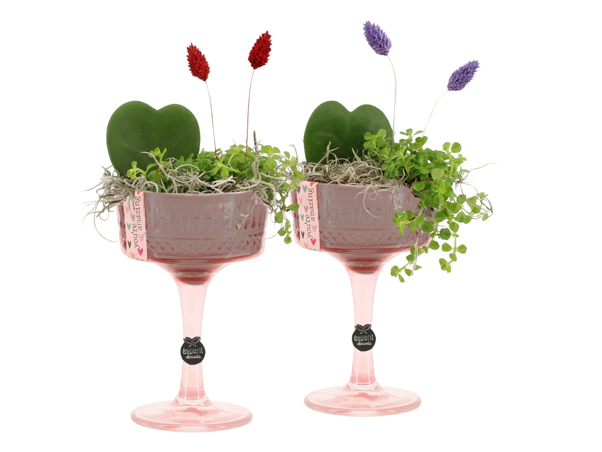 21581: Lovess arrangement, D 12