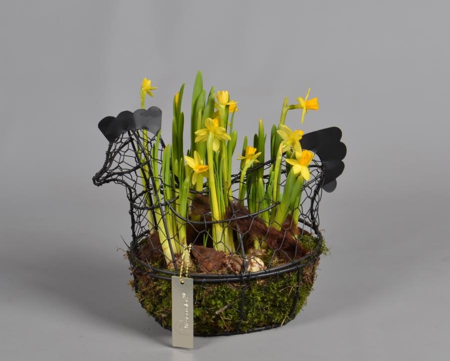 Metaal rek met Narcis Tat, D 29