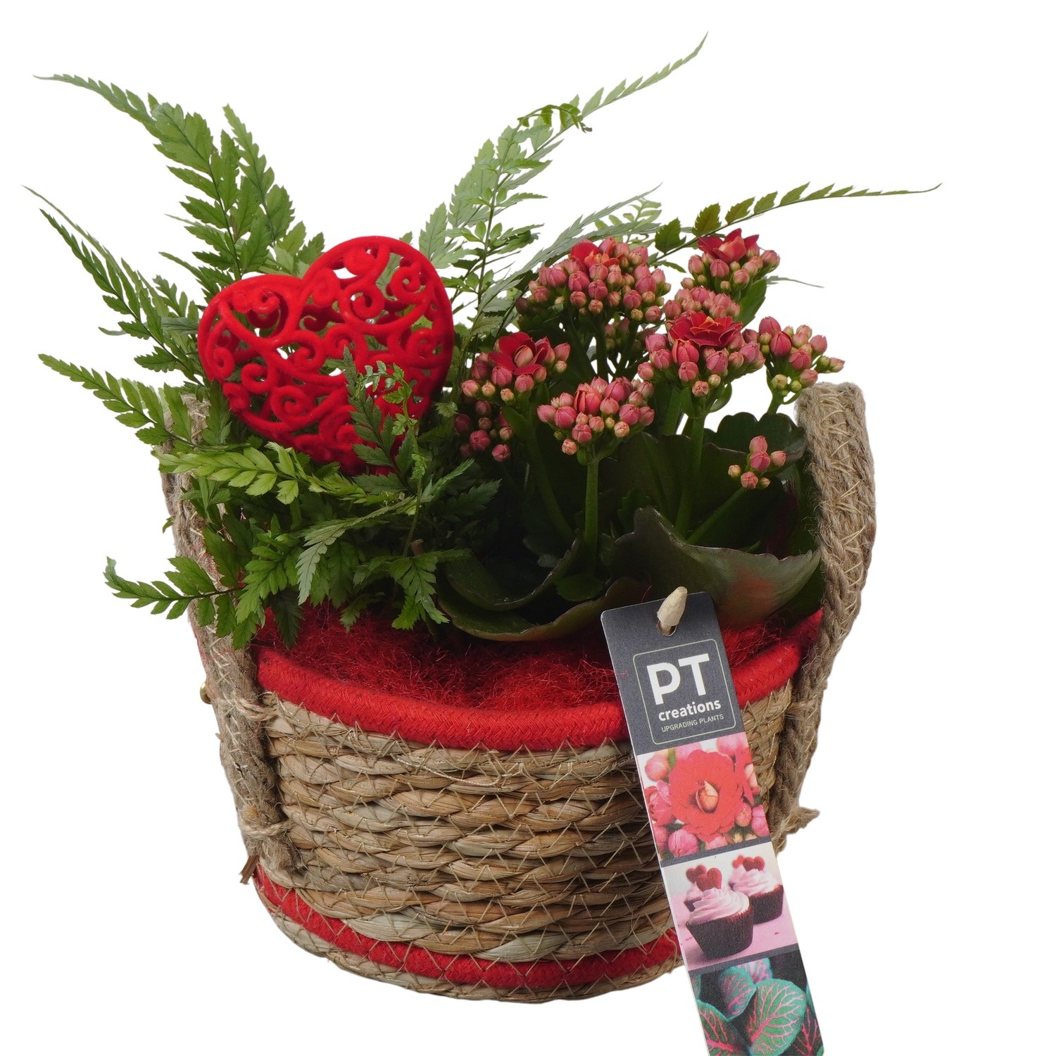 PTVMB2322 Arrangement Valentines-Mothersday in riet mand, D 15