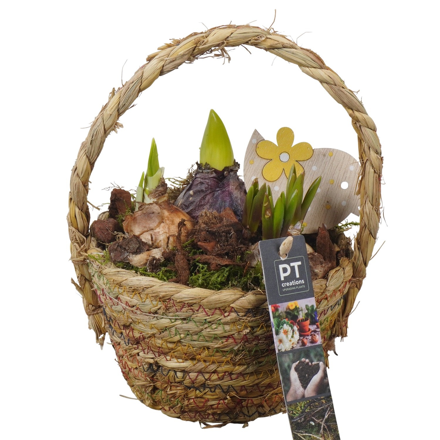PTBM3801 Arrangement Flower Bulbs Mix in rieten mand, D 15