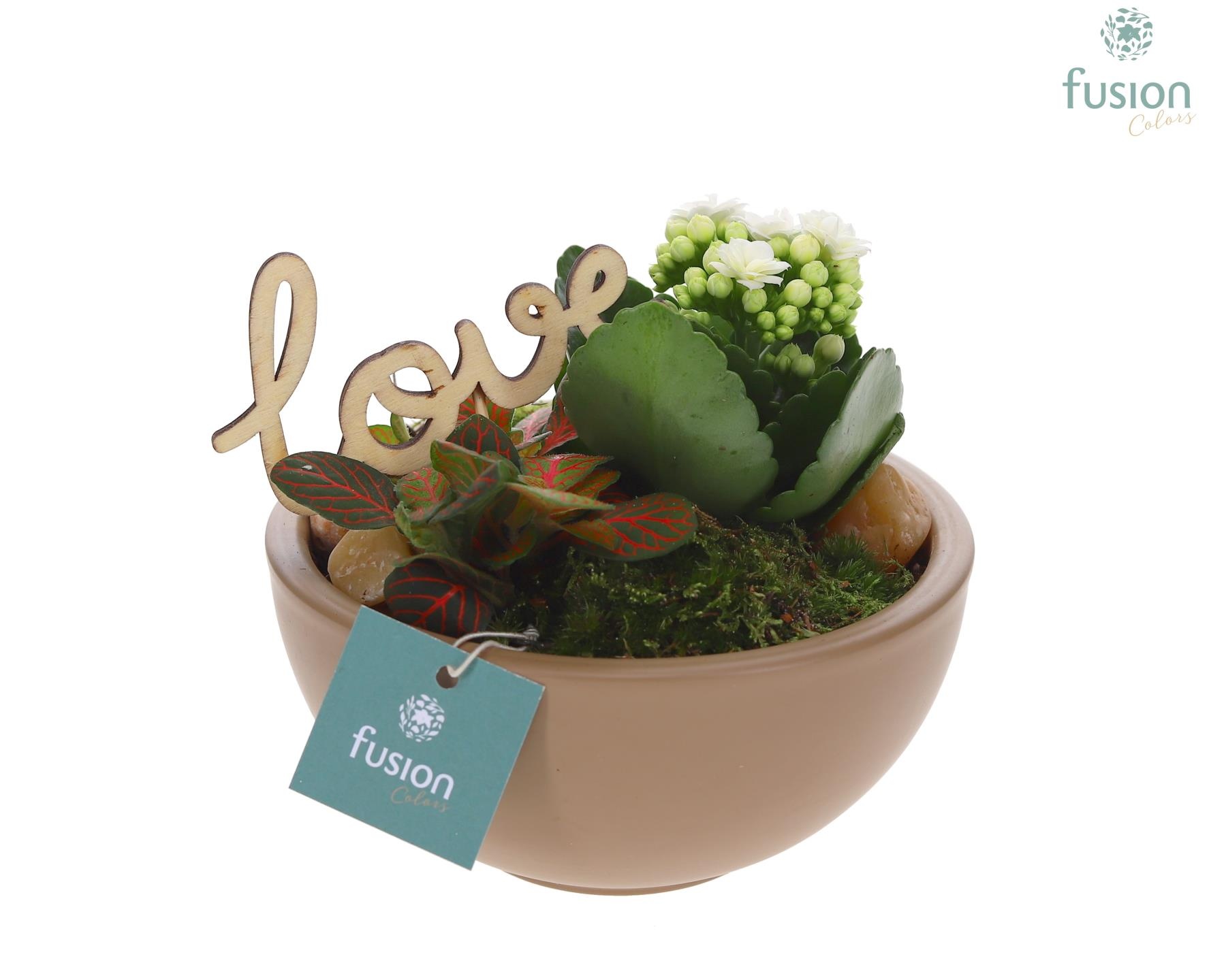 Schaal keramiek Moon Small beige Love met arrangement, D 15