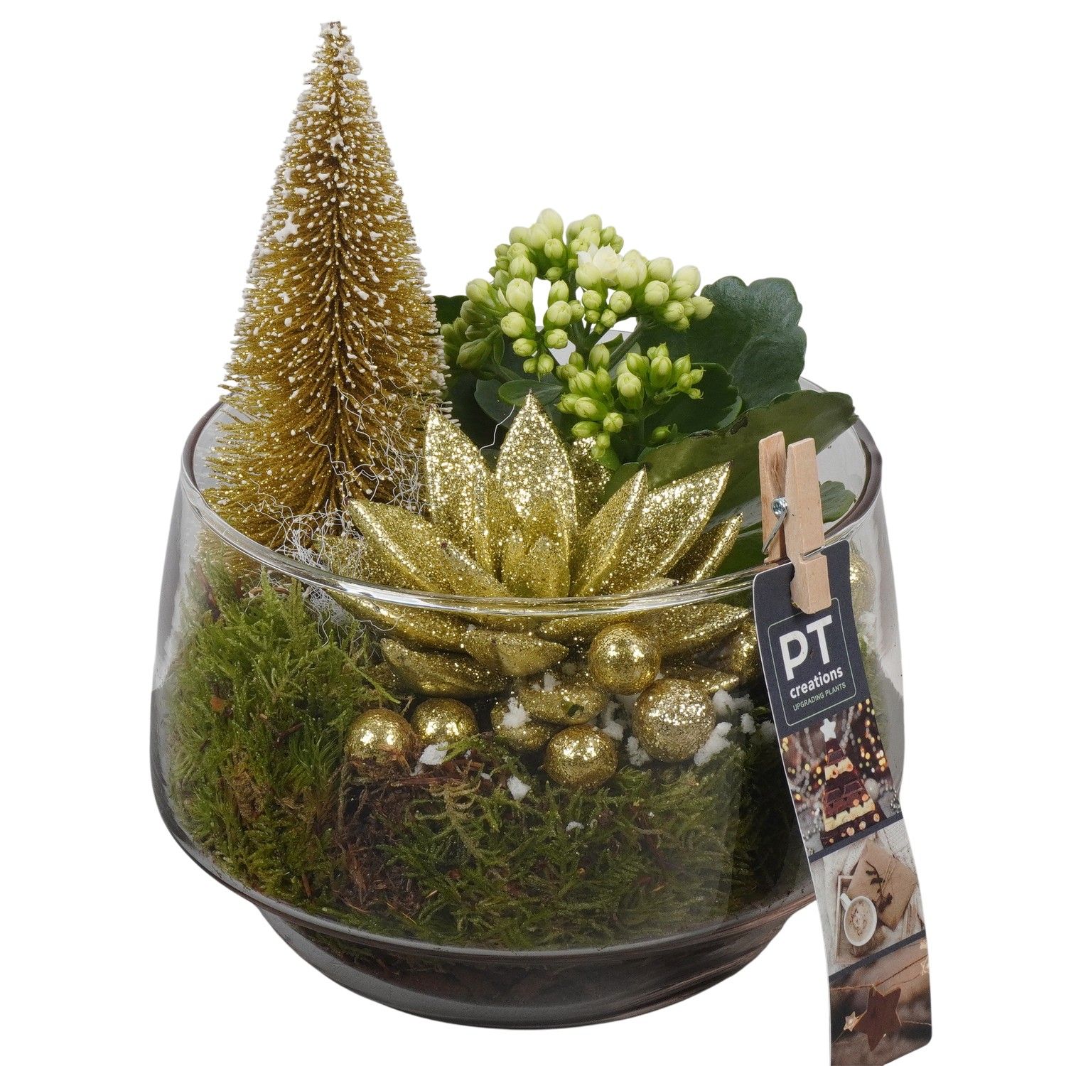PTCHG5738 Arrangement Christmas Gold in glazen pot, D 17 cm