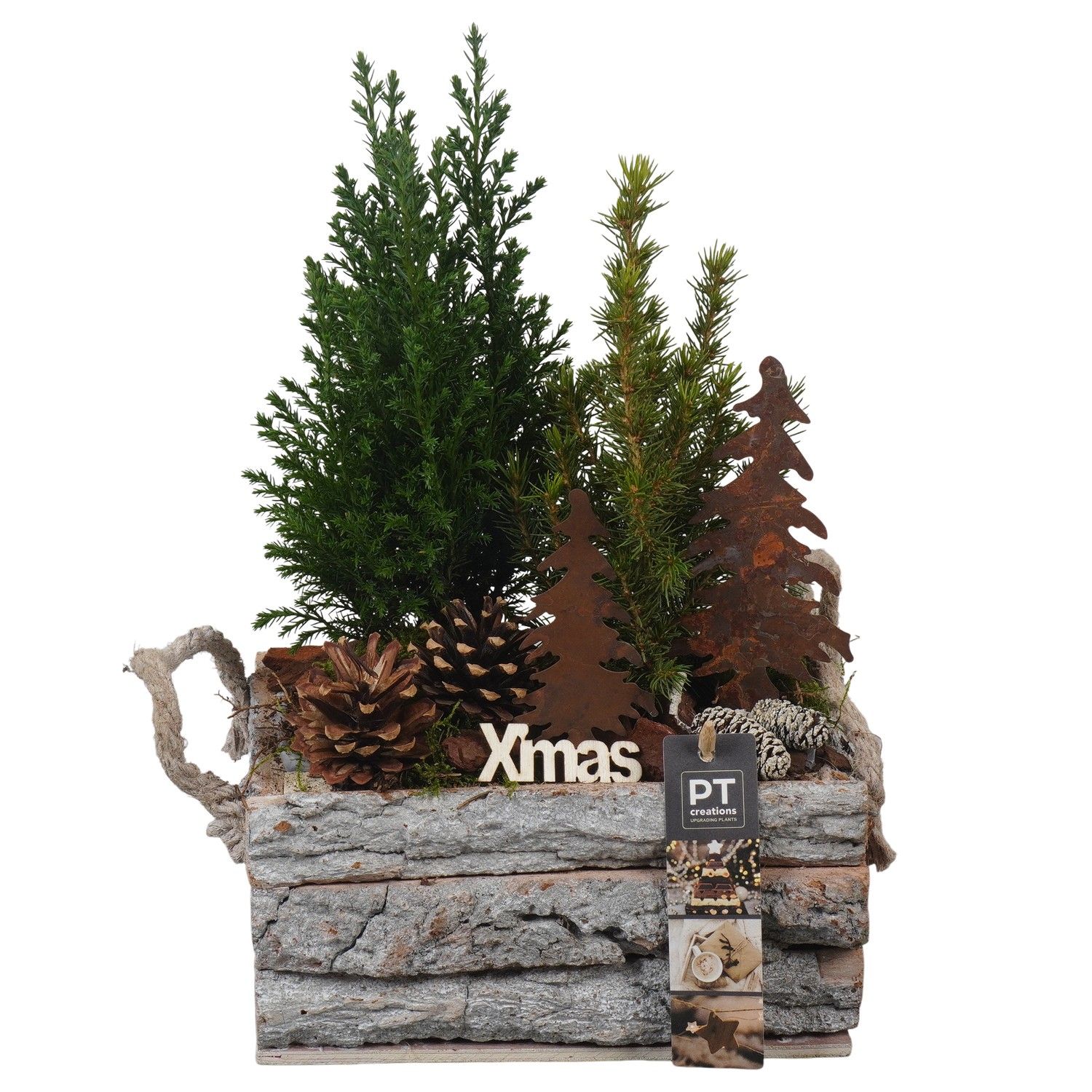 PTCWW6853 Arrangement Winter in houten bak, D 20 cm