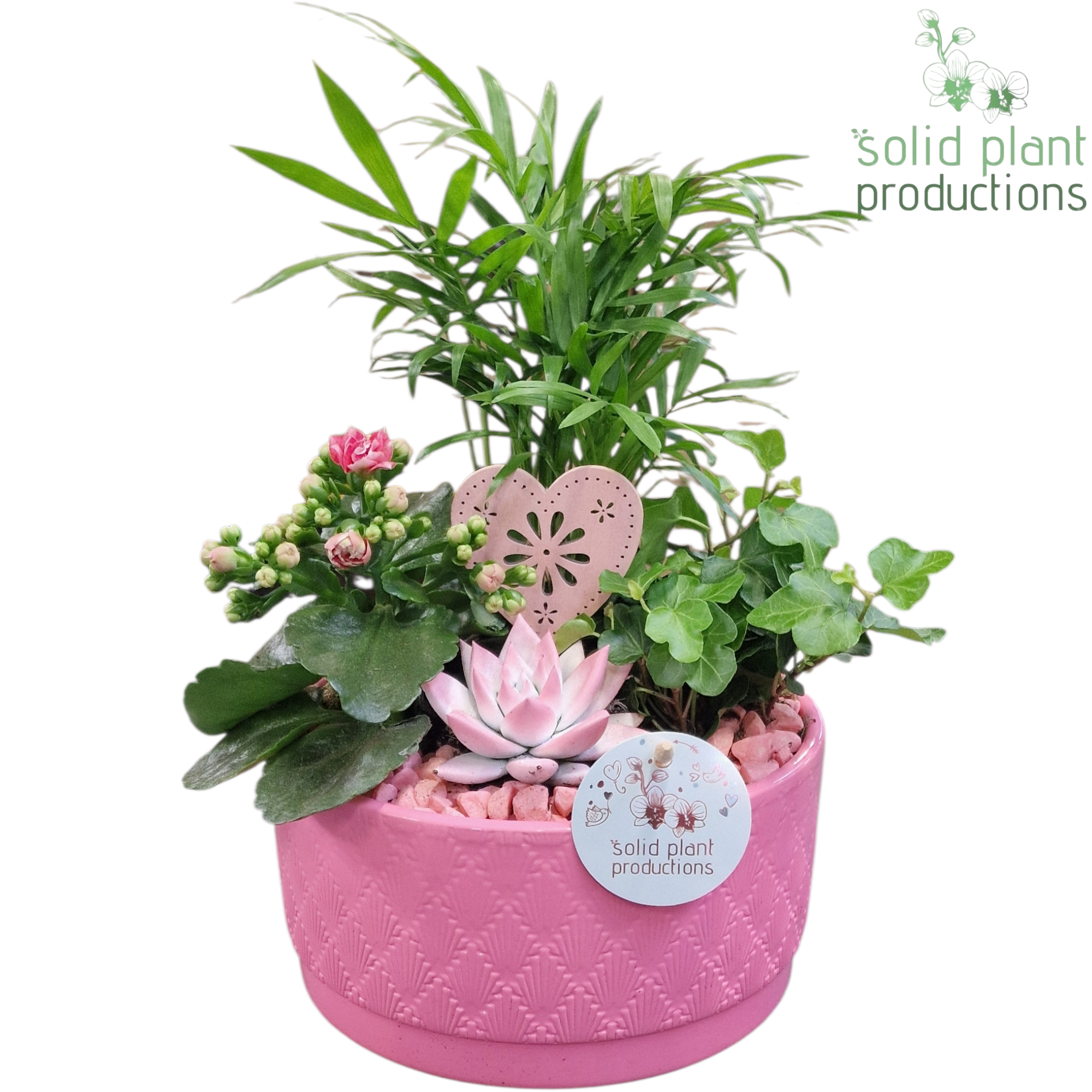 CE003 Loes Pink VM, D 18