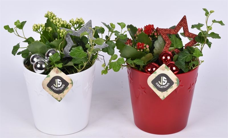 Keramiek ster decor pot 13.5cm, D 13 cm Keramiek ster decor pot 13.5cm, D 13 cm