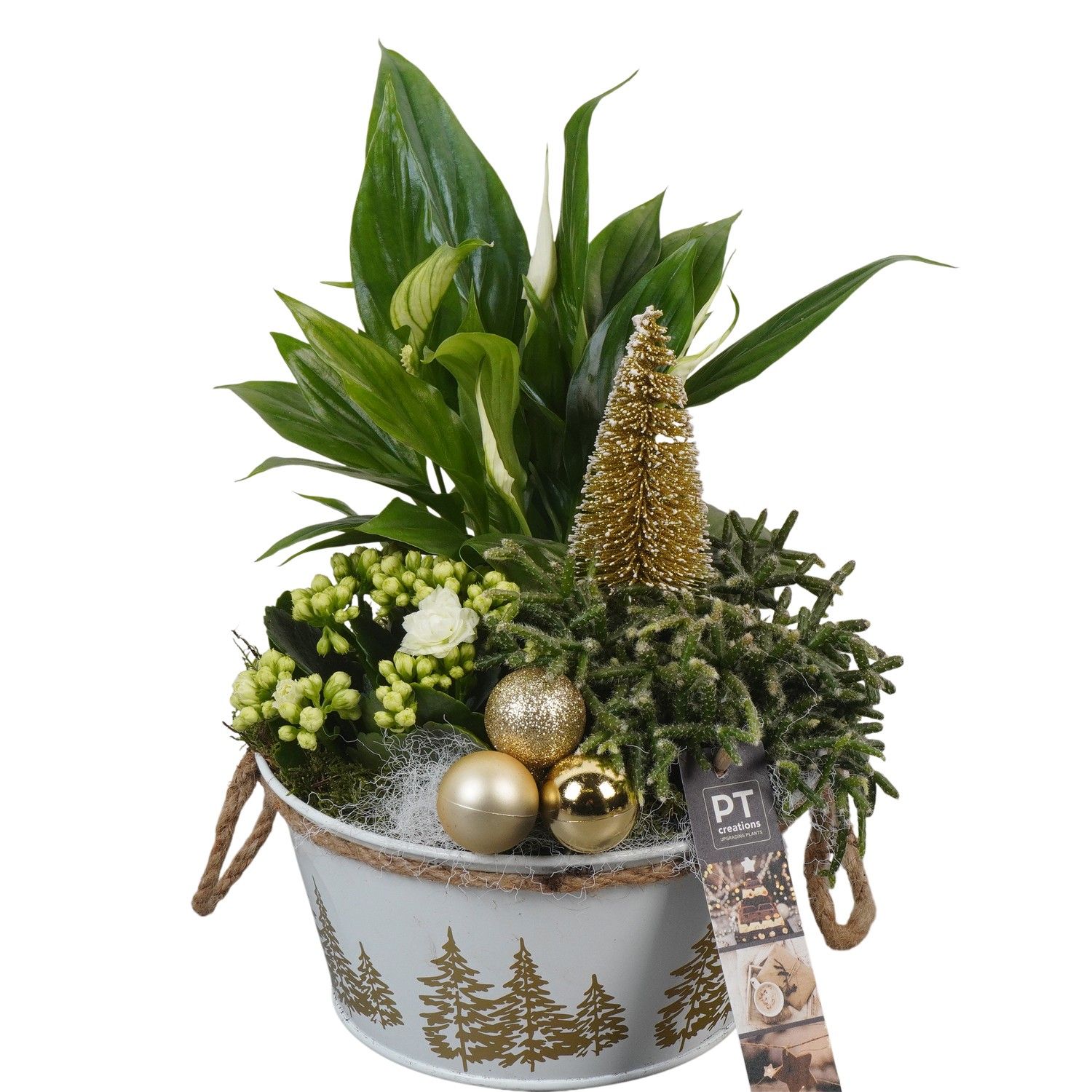 PTCHG5661 Arrangement Christmas Gold in metaal pot, D 18 cm